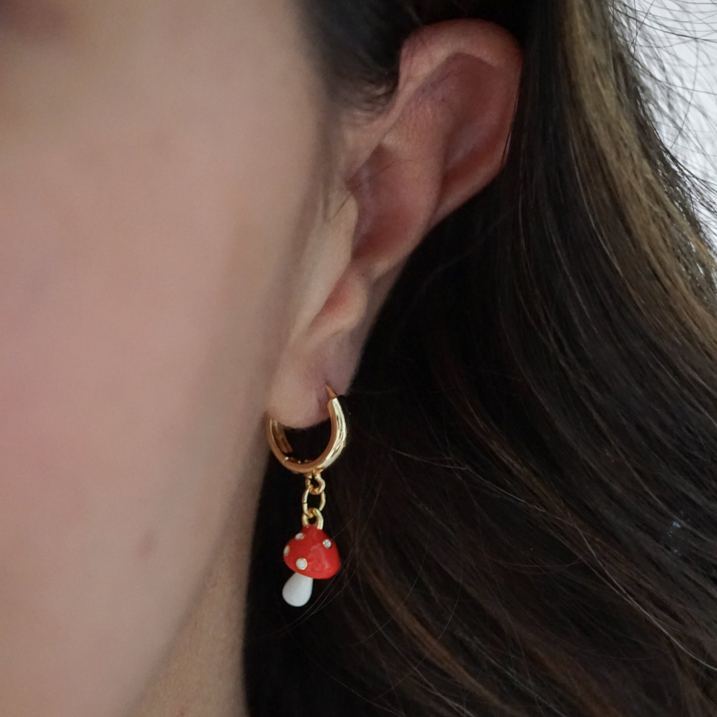 Aretes Fungi