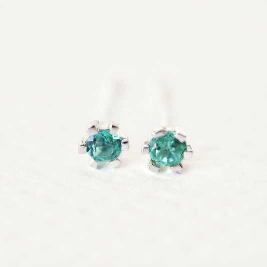 Aretes Dani