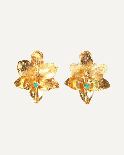 Aretes Alma Cattleya