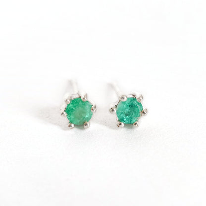 Aretes Maia