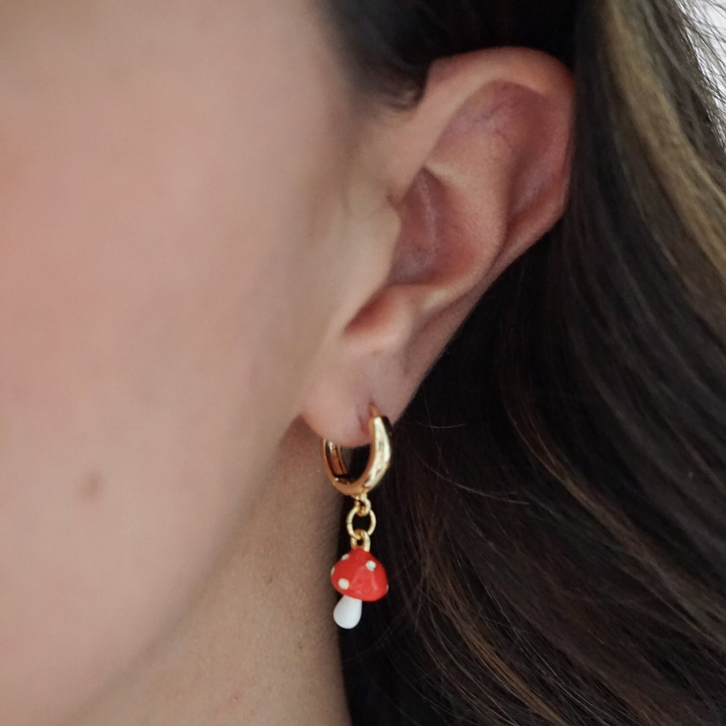 Aretes Fungi