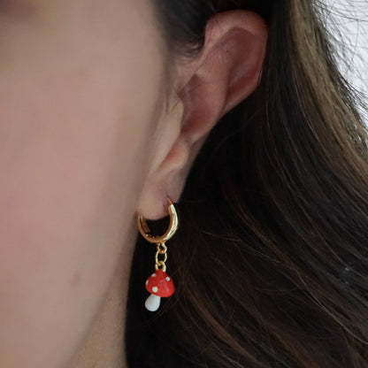 Aretes Fungi
