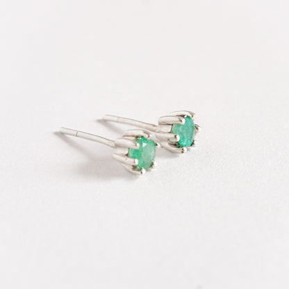 Aretes Maia