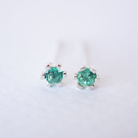 Aretes Dani